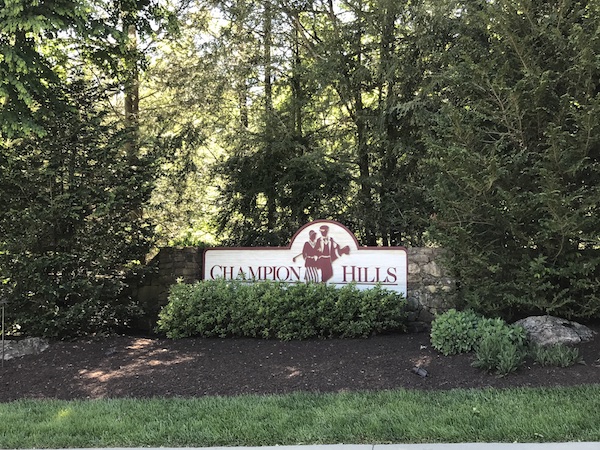 Champion Hills Homes For Sale In Hendersonville